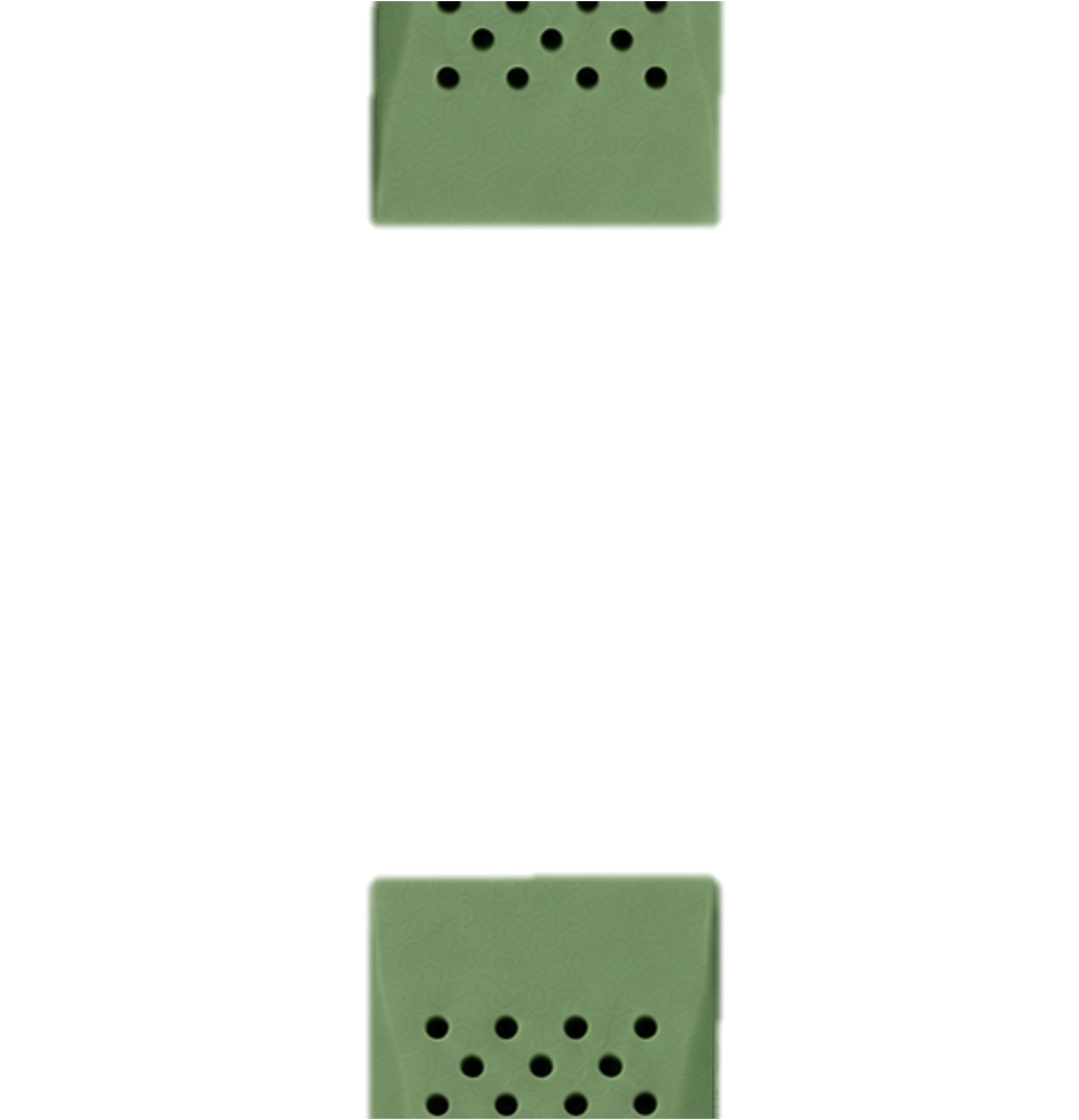 PARA Olive Green